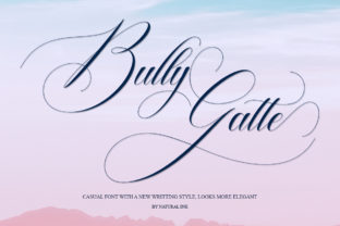 Bully Gatte